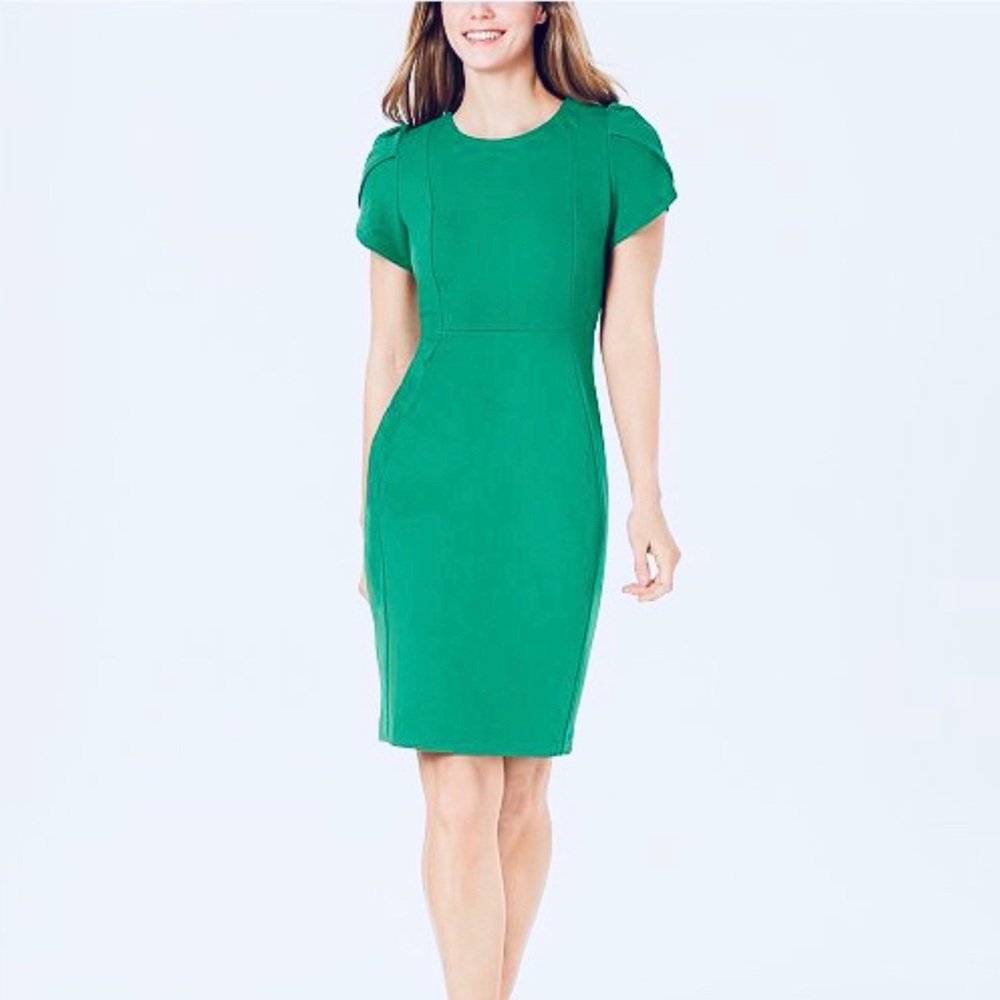 NWT Calvin Klein | Tulip-sleeve Sheath Dress